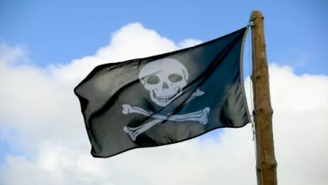 Software piracy costs businesses billions in time and money
