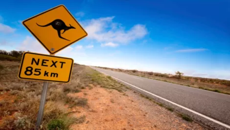 Australia leading the way for Xero global customer growth