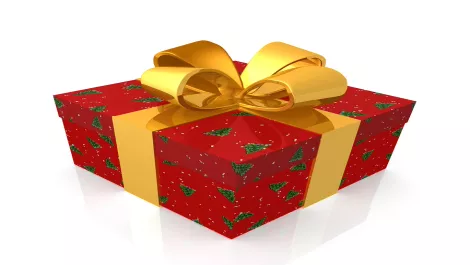 Christmas gift1 2