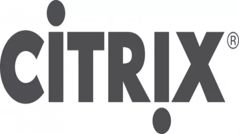 Citrix rgb normal1