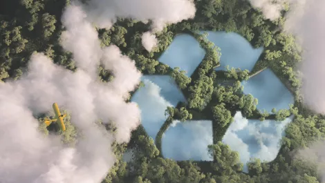 Reasons to go green