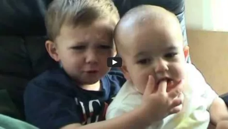 Charlie Bit My Finger video…