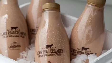 Chocolatemilk2