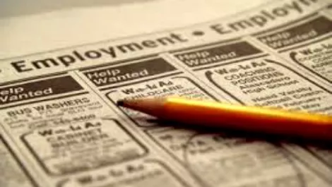 NZ employment confidence rises with optimism about earnings growth