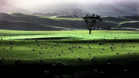 NZ First calls out government on rural broadband in Southland