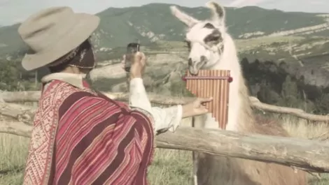Schneider Electric calls on pan flute playing llama for IoT campaign