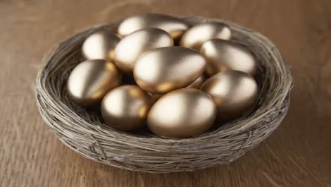 TIN report showcases New Zealand's tech prowess to investors