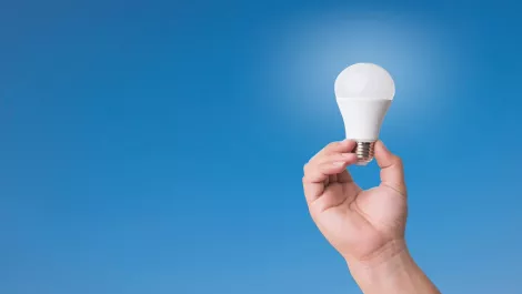 Aussie organisations need to embrace change or risk failure