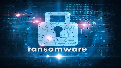 Local SMEs are the most vulnerable to ransomware attacks: Turrito Networks