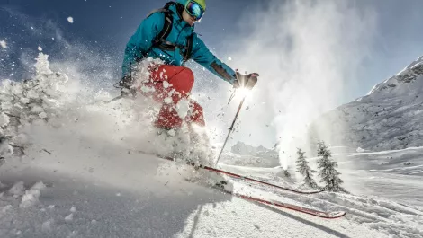 Skiier