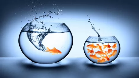 Why scalability is key to reseller success