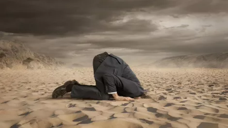 Australians turning a blind eye to data backup & security