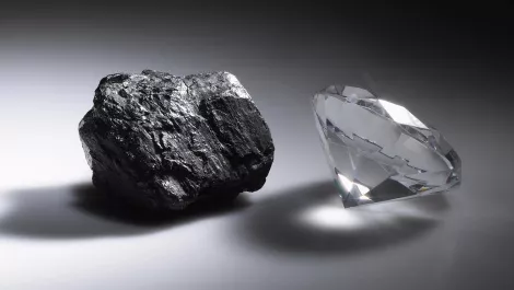 EXCLUSIVE: How and why the TEC reshaped itself with data