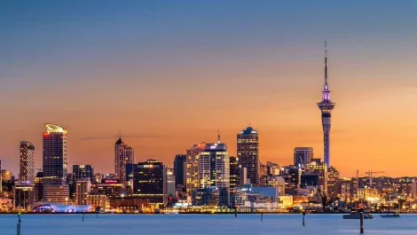 Digital transformation drives demand for tech professionals across NZ