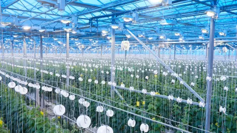 Gettyimages 953244392