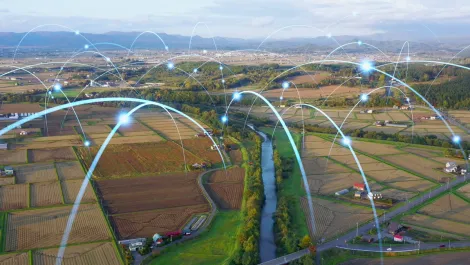 Case Study: Optical technologies light the way for agriculture