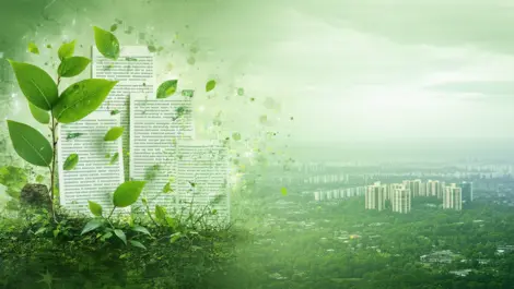 Techday e6c540b0504241bf5962