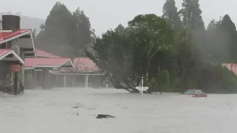 Council drags feet on key plan to safeguard West Coast tourist hotspo